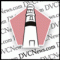 DVCMBR05