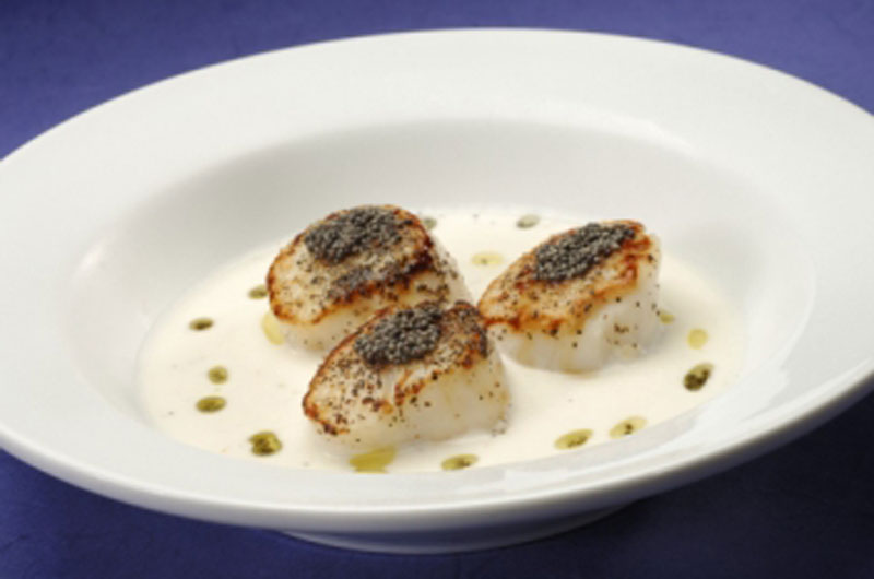 Mustard seed-crusted Scallops with a coconut cream sauce