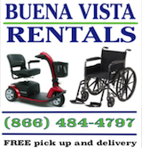 Buena Vista Companies 160