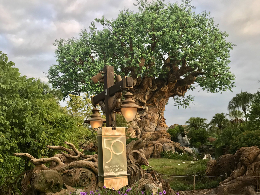 Disney's Animal Kingdom