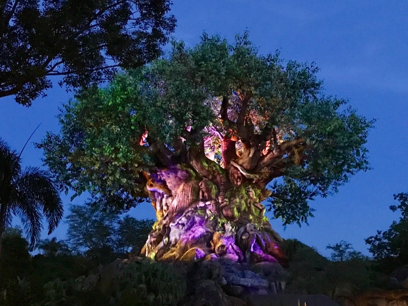 Disney's Animal Kingdom Tree of Life