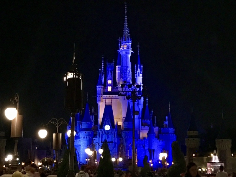 Magic Kingdom Night