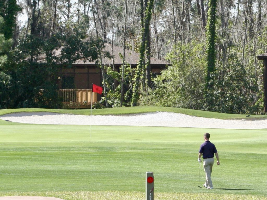 Walt Disney World Golf