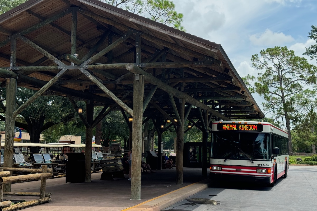 Walt Disney World Bus Stop