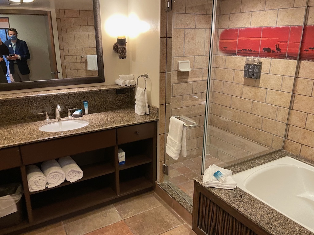Master Bathroom Vanity, Shower and Tub