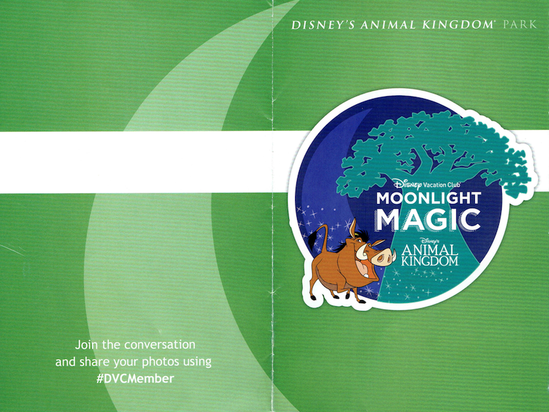 Animal Kingdom Moonlight Magic