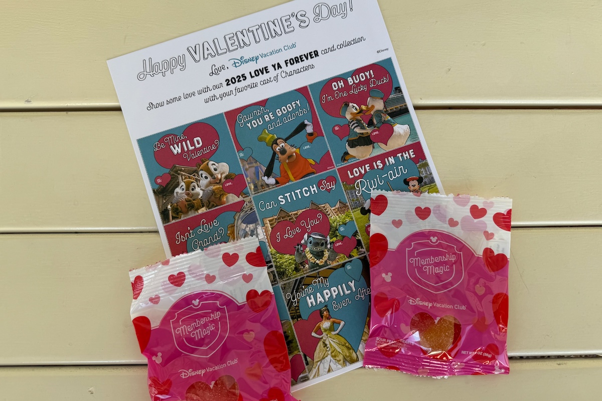 Disney Vacation Club Valentines Meet 2025e