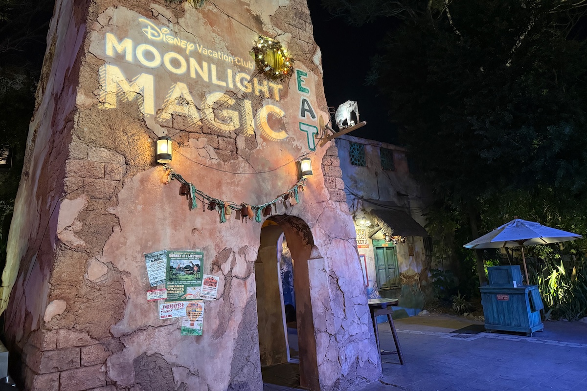 Moonlight Magic Animal Kingdom 2024 Projection