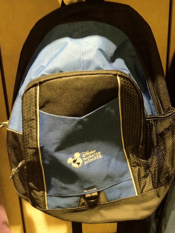 DVC Logo Backpack