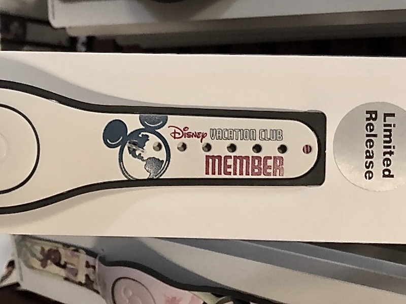 2019 DVC MagicBand October