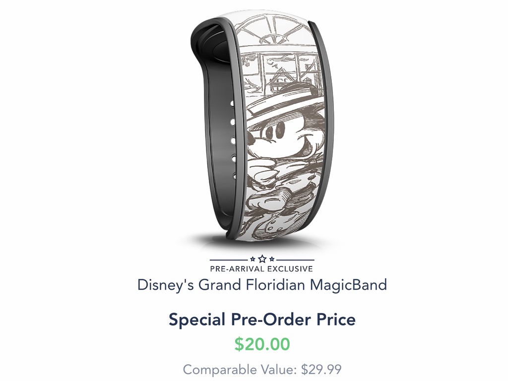 VGF Magicband 2020