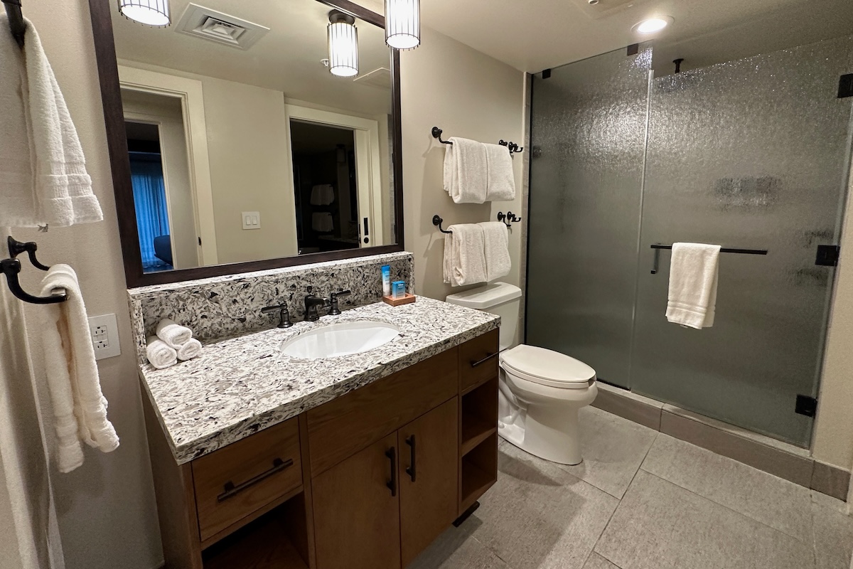 Master bathroom vanity and walk-in shower