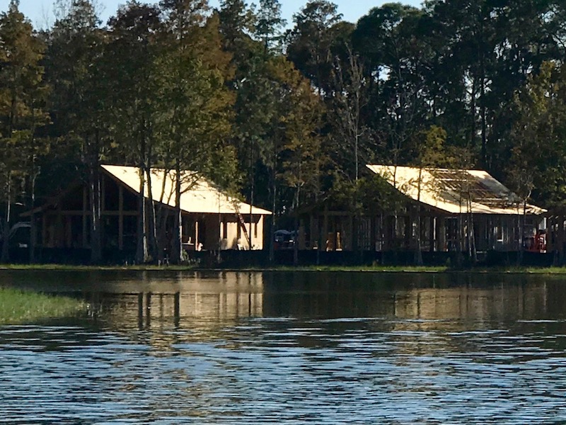 Wilderness Lodge - December 2016